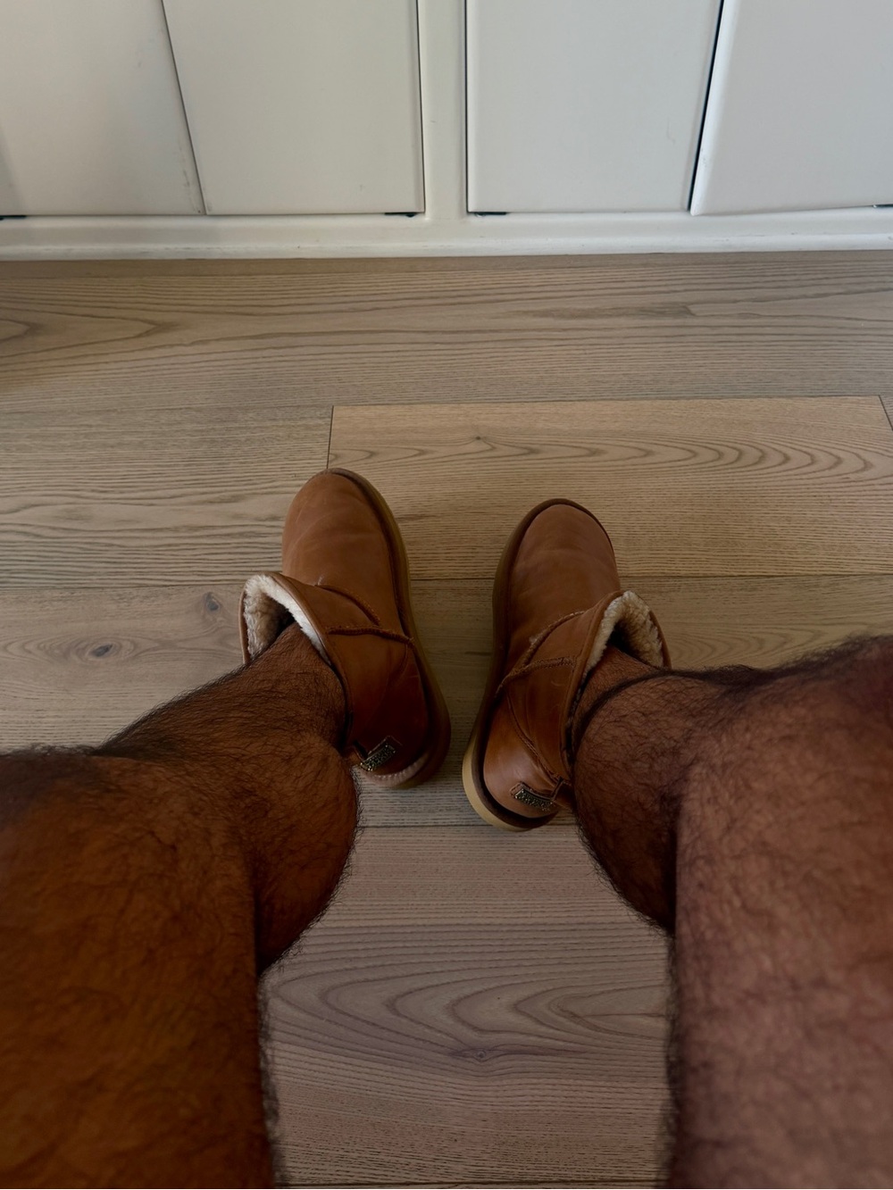 Australian Luxe Men's Leather + Shearling Ankle Boots